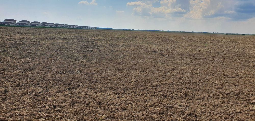 Vand teren 23300 mp Balotesti.