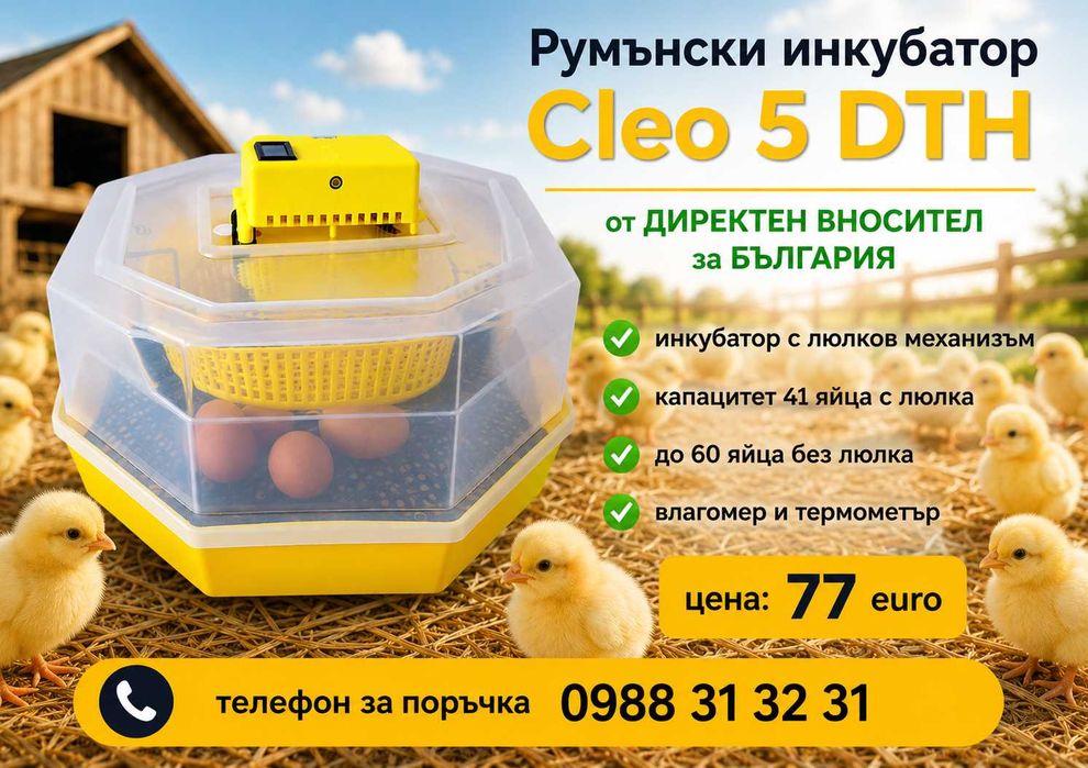 Румънски инкубатор за пилета. Инкубатори за яйца КЛЕО 5; Cleo 5