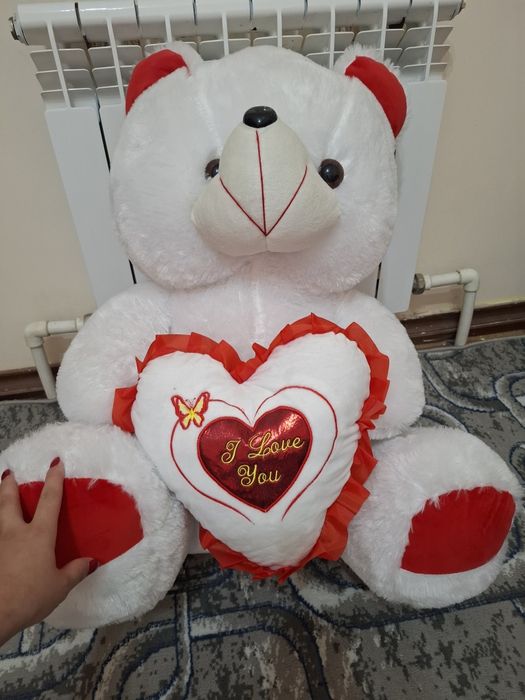 Yumshoq ayiq. Oyinchoq.