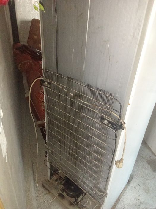 Холодильник Бирюса