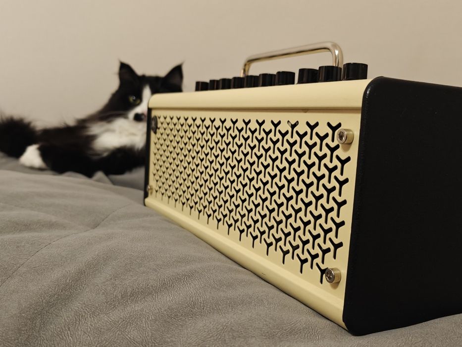 Комбоусилитель Yamaha THR10II