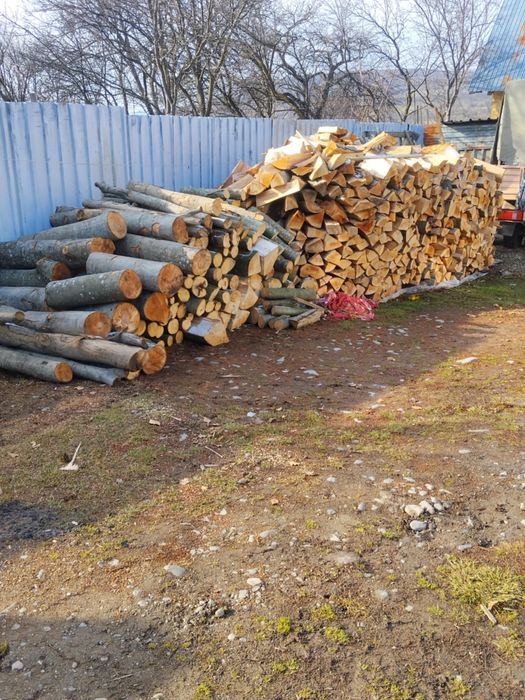 Vind lemn  pentru foc doar fag curat calitate foarte buna lemn de pri