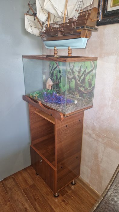 Аквариум,Аквариум