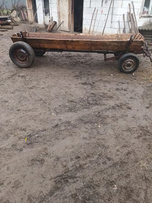 Vând iapa cu tot cu faiton