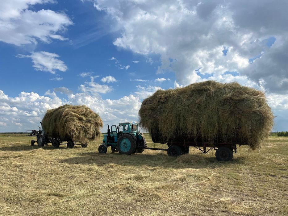 Продаю Трактор Т40