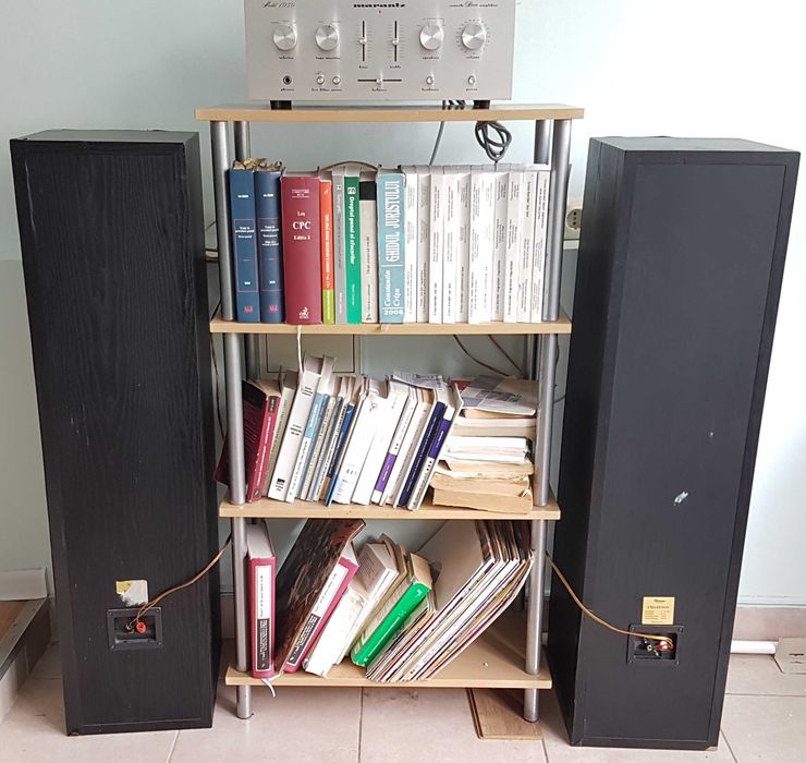 Davis Acoustics Chatenoy boxe coloane 160W