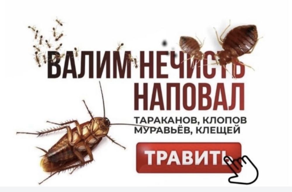 Травить клопов и тараканов