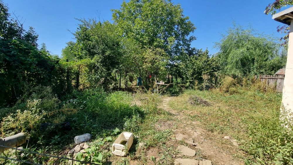 Vand casa 120 mp cu 5.000 mp teren intravilan in Podenii Vechi Prahova
