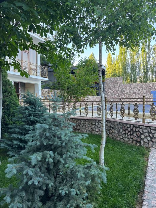 Dacha Manzara  toğyon bağrida