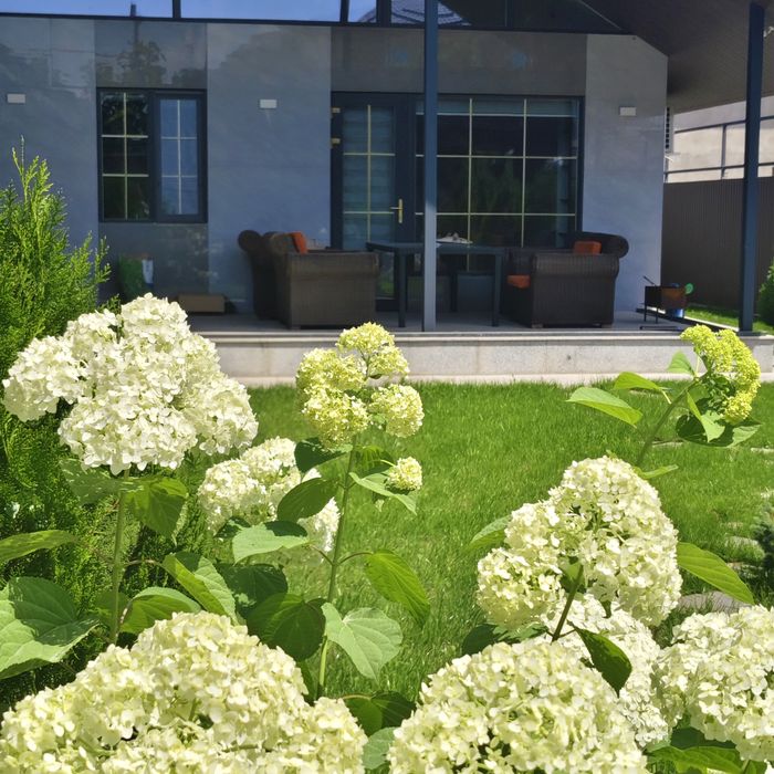 Ротанговая мебель