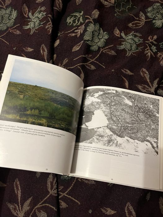 Наскальные рисунки края Кереку-Баян