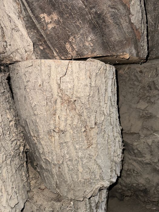 Продам пеньки спилу чурбаки