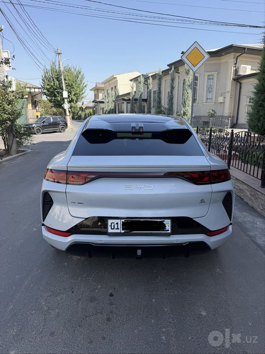Byd song l full 2024 yil