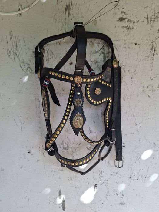 юзда за кон естествена кожа