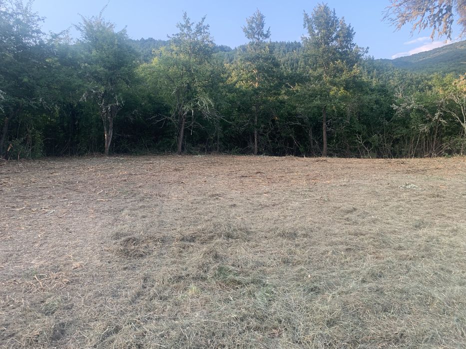 Почистване на дворове и терени с горски мулчер