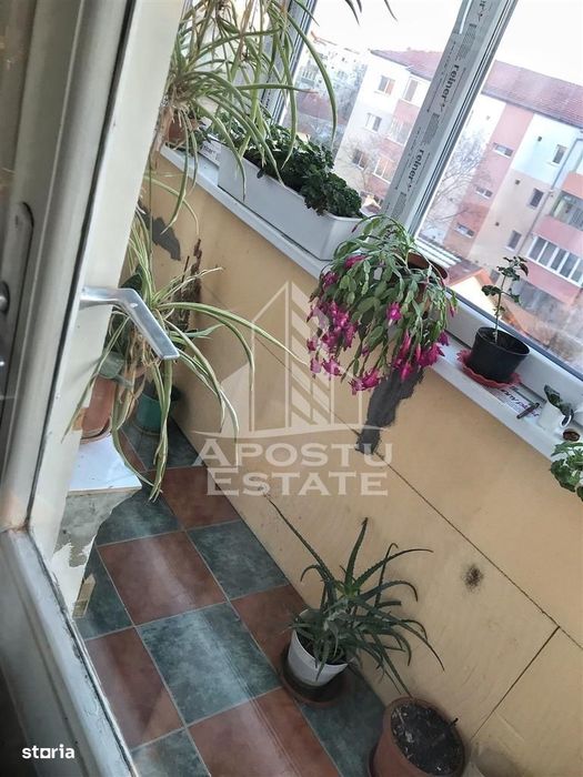 Apartament 3 camere,de vanzare, zona Girocului, Timisoara
