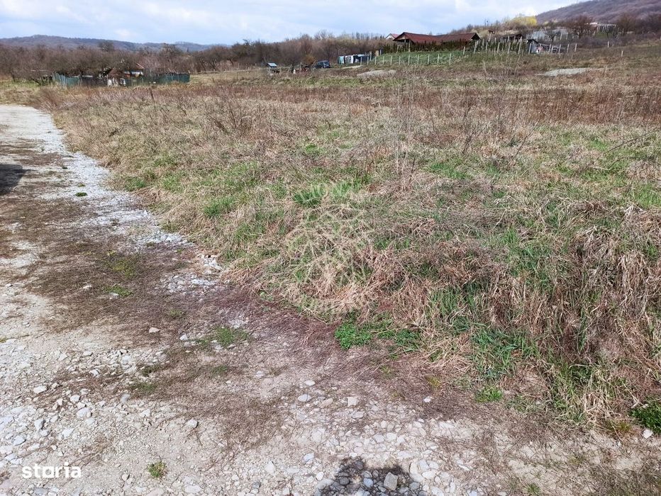 Teren intravilan 500 mp-ideal casa-Zona Dr. Tarpiului