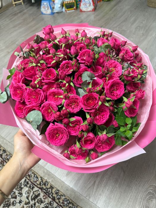 Срочно продам цветы