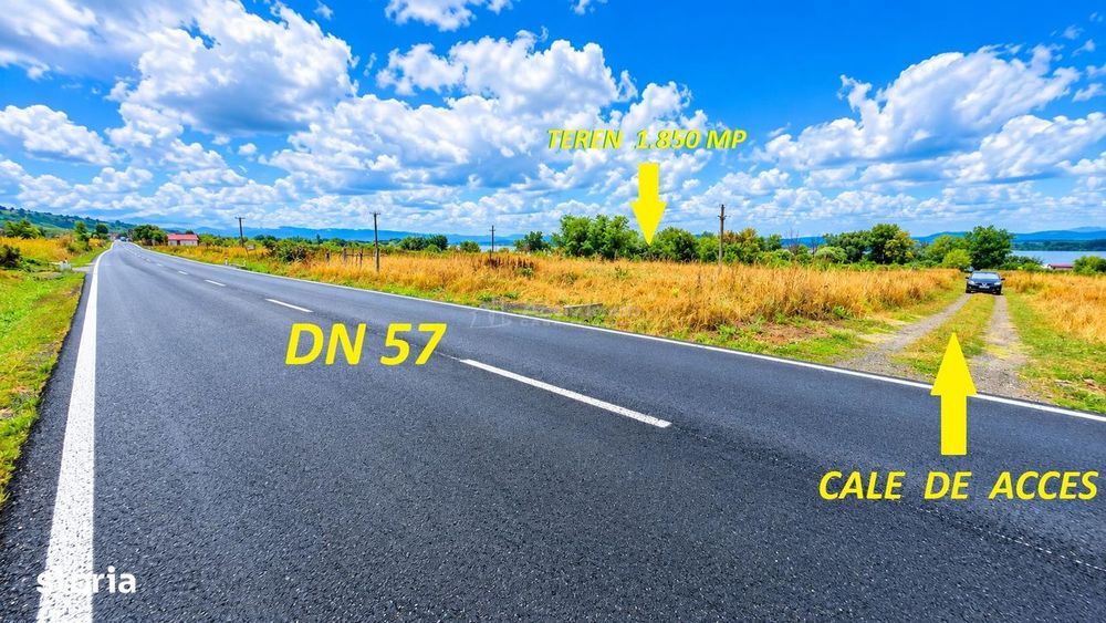 Macesti | Teren Drept La Dunare | 1850MP | ZERO COMISION