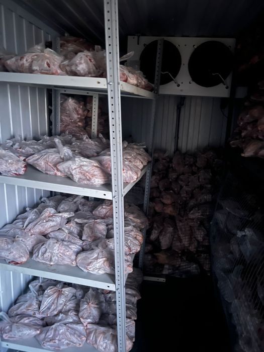 Продам морозильную камеру