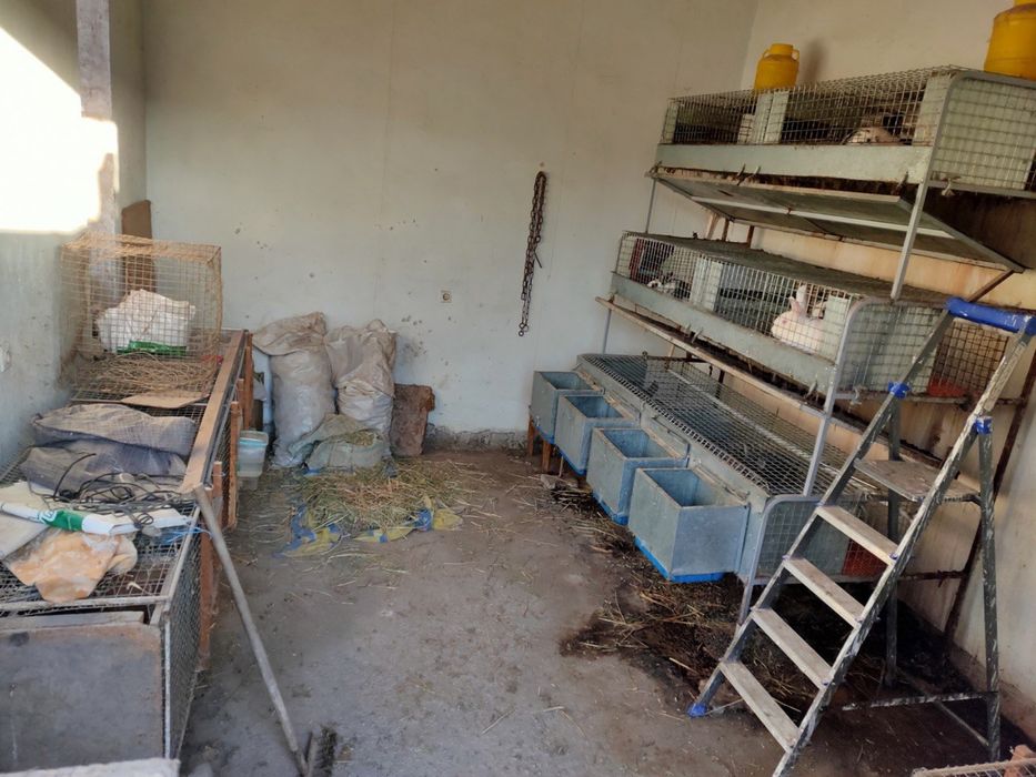 Quyon kletka, куен клетка, клетка для кроликов