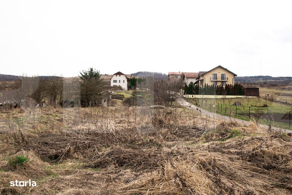 Teren 7088 mp in Borhanci – achizitie integrala sau separata - trei