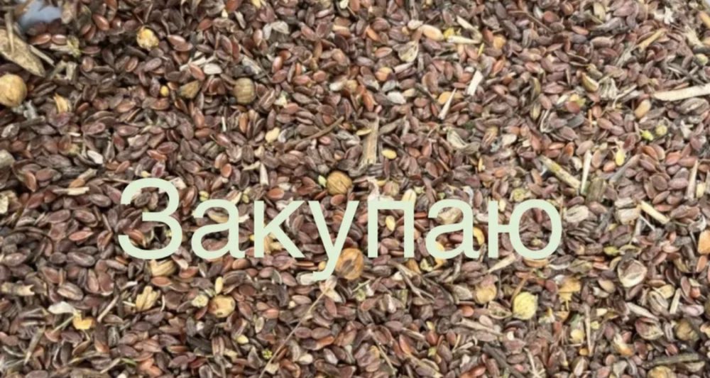 Отход льна.сорный лен.