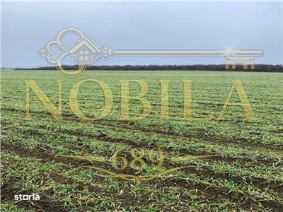 Teren Intravilan 28.000 mp în One?ti – pentru Investi?ii Industri