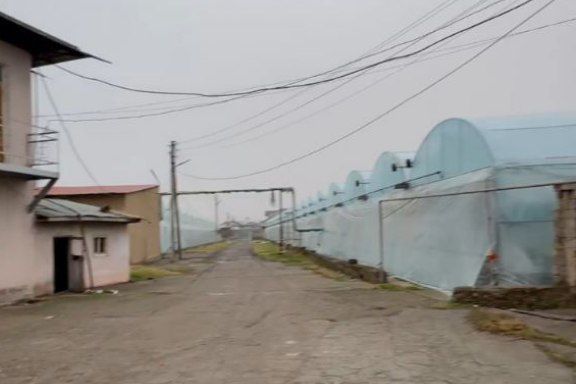 Продаётся птицеферма