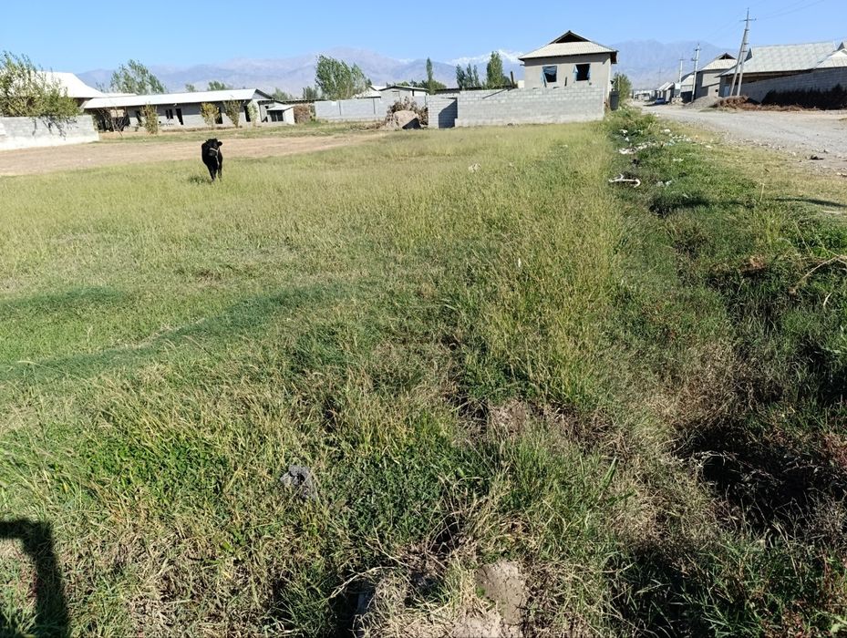 Yer Sotiladi 16sotiq