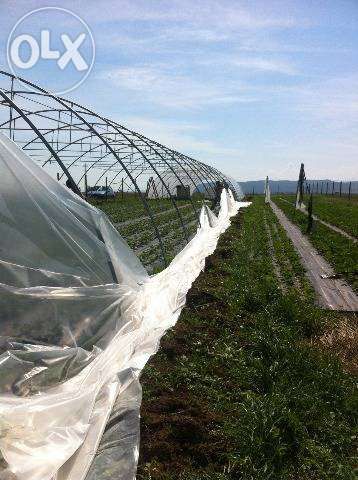 Folie solar, solarii si sere, triplustratificata, UV,AC,EVA