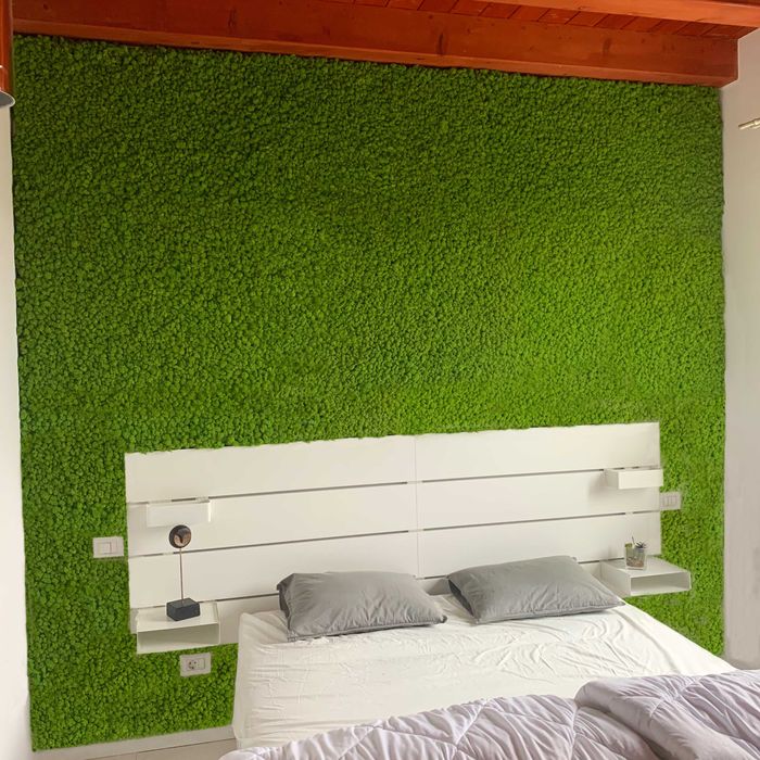 Designuri cu Licheni si muschi decorativi la comanda