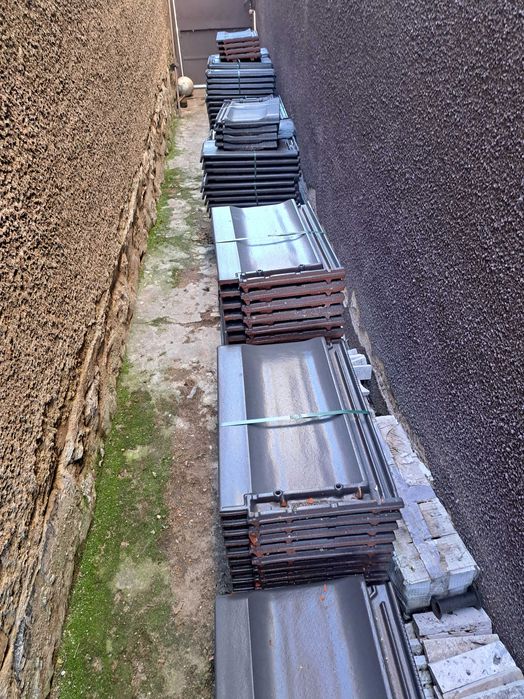 Tigla creaton nomina