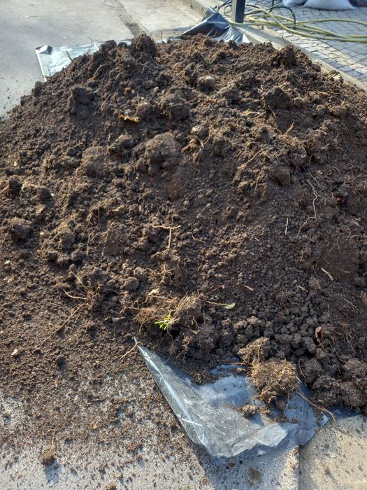 Mranita Balegar -Pamant  padure -negru-umplutura