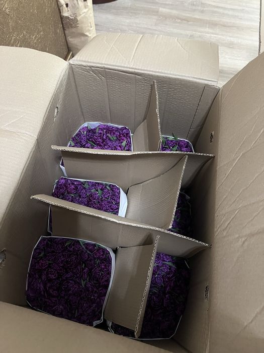 Тюльпаны оптом и в розницу Астана