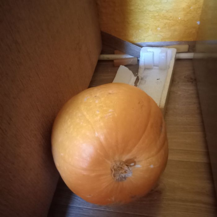 морковь домашняя замороженная , тыква, помидоры