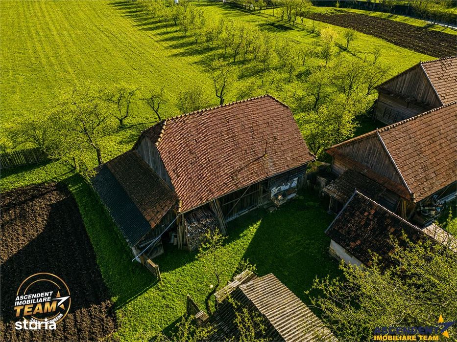 FILM! Domeniu de 6.221mp, livada pomi fructiferi+casa si anexe,Lemnia,