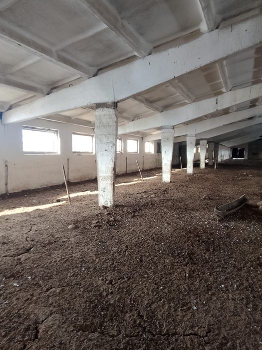 Продам базу рядом с Хоргосом