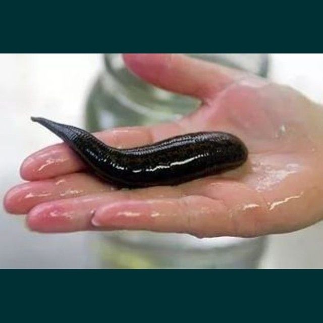 ТТз 1 возле школы 211 Навруз базар возле входа Наша Клиника