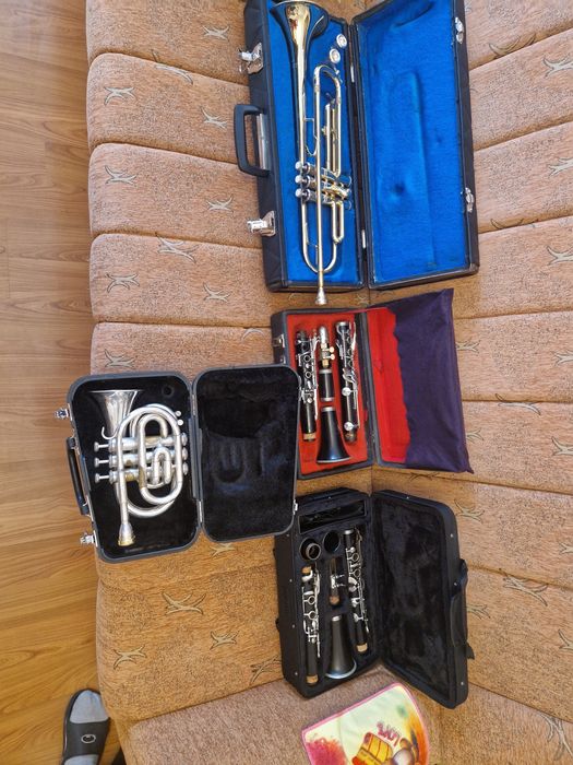 Clarinet lignatone