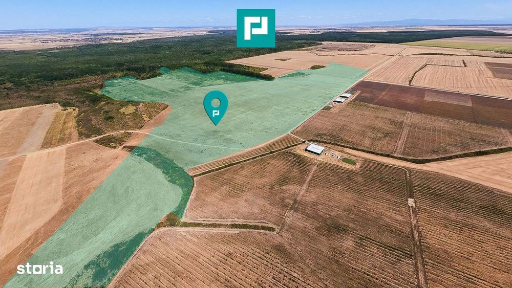 Teren intravilan agricol 558.500 mp Chevereșu Mare