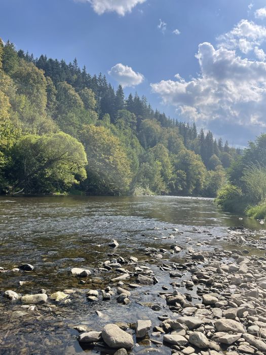 Teren de vanzare Campulung Moldovenesc