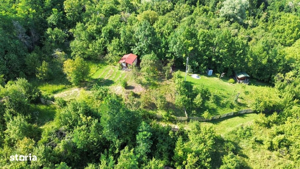 Teren 4.519 mp intravilan de vanzare in Breaza