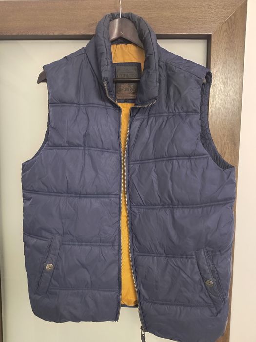 Vesta matlasata barbati