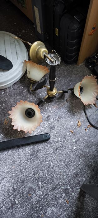 Стар полилей тип лале - с 3 чашки