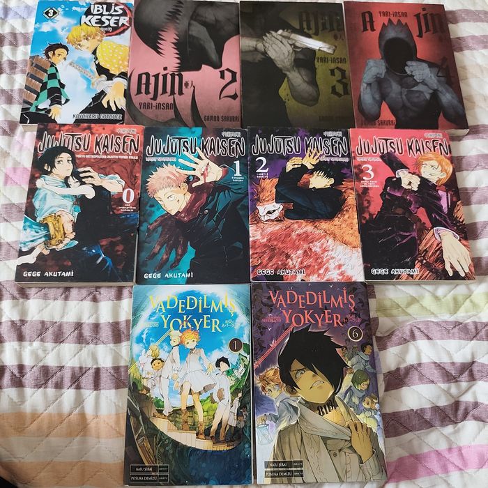 книги/манги на турецком.