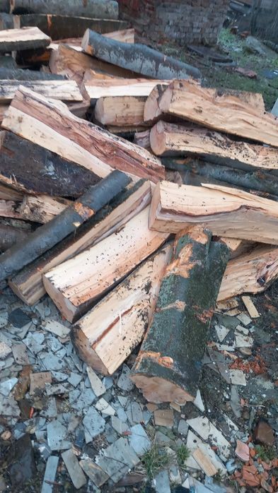 Vând Lemne de foc fag crepatura sau rotunde groase avem și raritura !