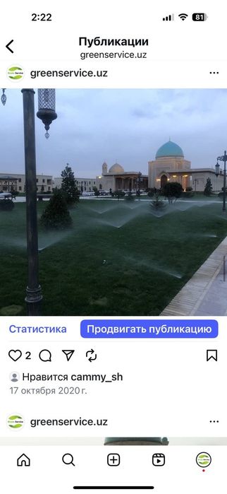 Рулонные газоны качественно.