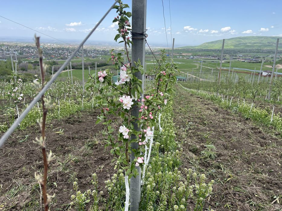 Продам Фазенду в талгаре