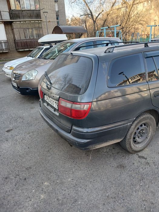 Таета карина дороло